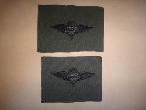 Two army parachute - two,