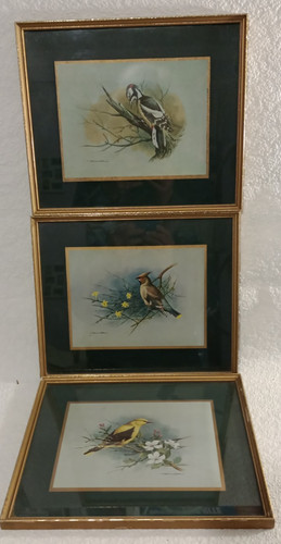 Basil ede framed - framed, prints