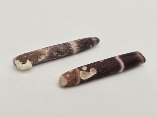 Modern pencil sea - pencil, urchin