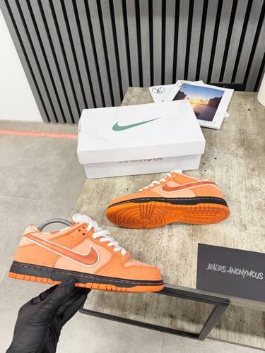 Nike dunk low - low, concepts