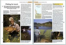 Fishing For Tench - Coarse Round-Up - The Art Of Fishing Page