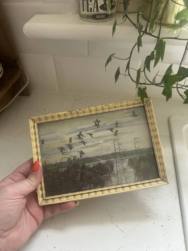 Vintage framed flying ducks - flying,
