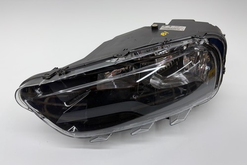 Citroen cactus head - cactus, lamp