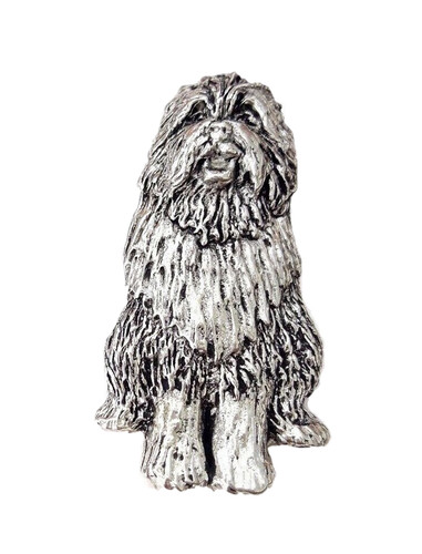 Bearded collie dog - collie,