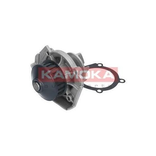 T0117 kamoka water - kamoka,
