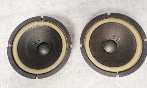 248 886 inch bass - rs,