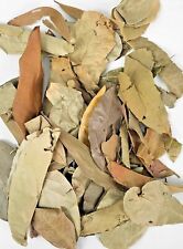 Natural Bio Active Tropical Jungle Mix Leaf Litter Aquarium Terrarium Leaves