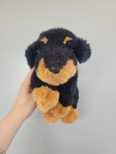 CHAD VALLEY Rottweiler puppy