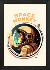 Space Monkey Vintage Framed