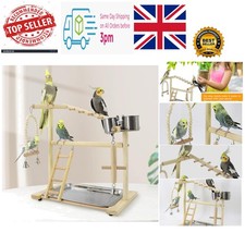 Parrot Playground with Ladder