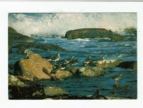 Postcard colour photo high - postcard,