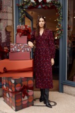 Seasalt Women's Regular Rose