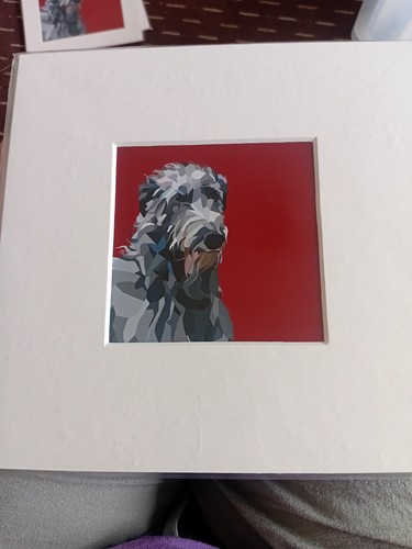 Gallery wolfhound dog - wolfhound,