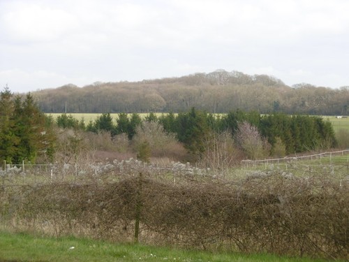 Photo looking across - a1,