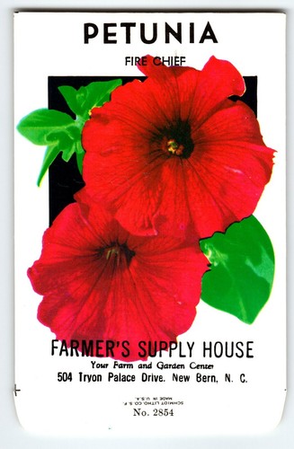 Farmers supply house petunia - farmers,