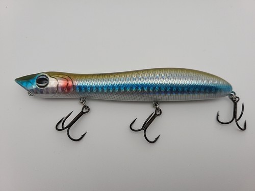 Topwater surf sea fishing - sea,