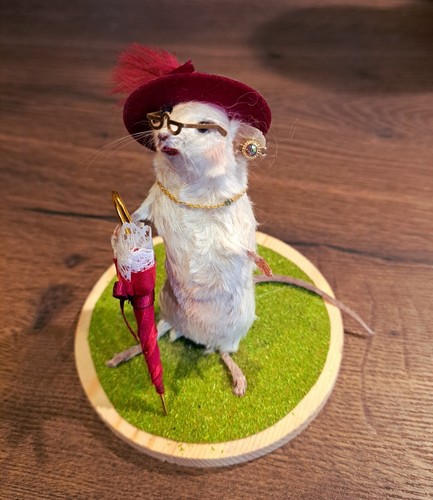 Mouse taxidermy old lady - taxidermy,