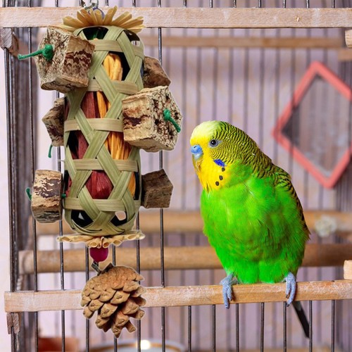 Bird chewing toy exercising - chewing,