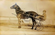 1910 Race Horse Sulky Maguon Maquon Racing RPPC Photo Postcard COPY