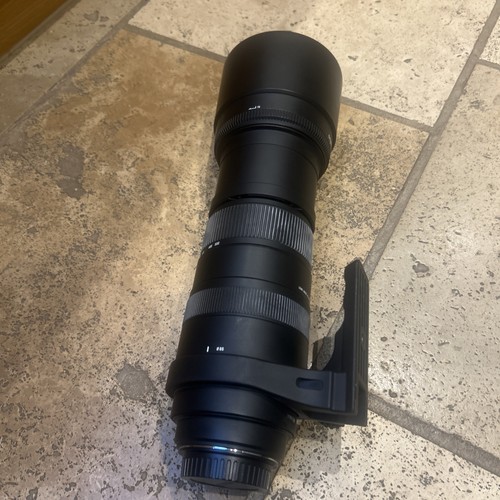 Sigma 150 500mm - dg, 150/500mm