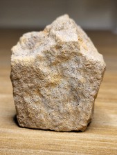 Black Friday Sale!! Dinosaur Fossil. Spinosaurus? African T-Rex? (Ref 8525)