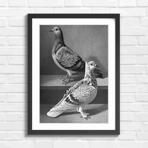 Vintage illustration two - illustration,
