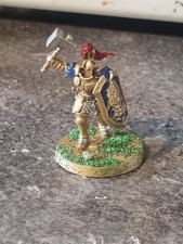 Painted Warhammer Figures