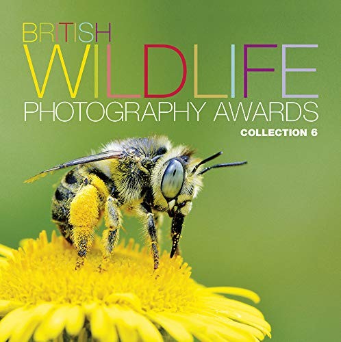 British wildlife photography - british,