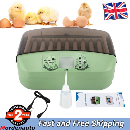 Eggs incubator temperature - eggs,
