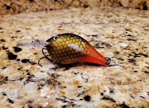Custom painted rapala - dt-6,