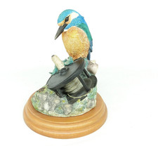 Border Fine Arts Kingfisher on