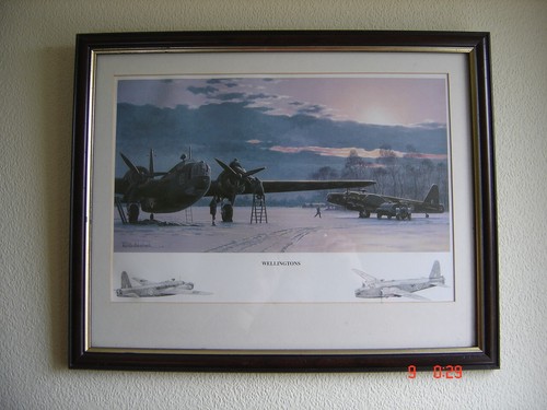 Framed aviation print signed - aviation,