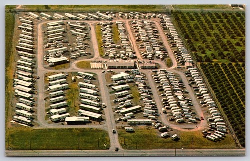 Aerial twin palms - aerial, mobile