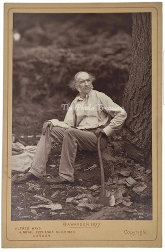 Cabinet card william - cabinet,