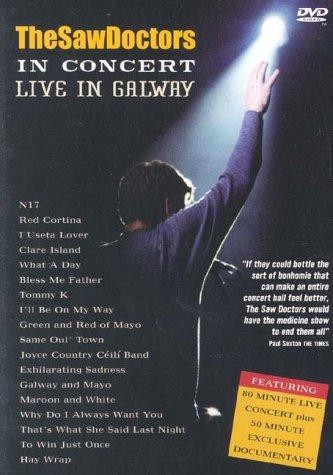 The saw doctors concert - concert,
