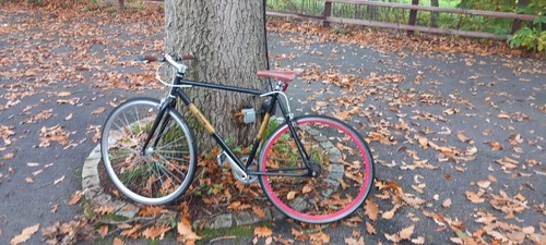 Viking bike urban myth - -,