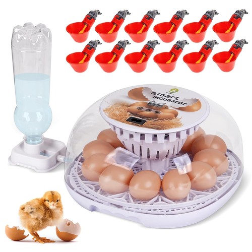 Egg incubator with - 12-24,