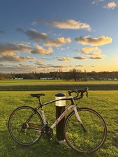 Specialized Secteur Comp Road Bike size 56