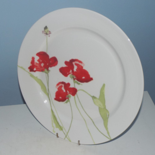 Aynsley meadow poppy - -,