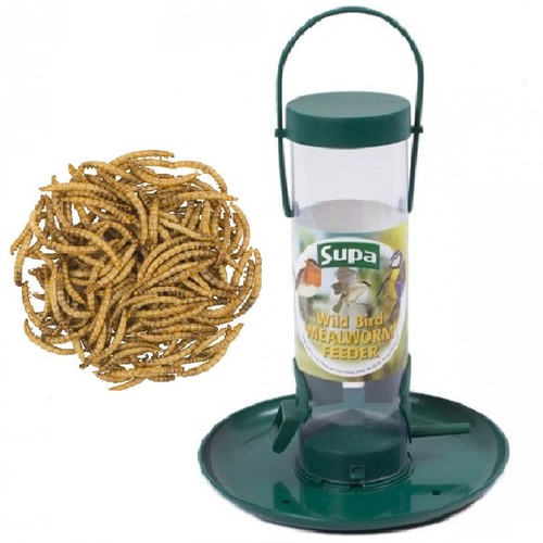 Mealworm feeder - mealworm, inch)