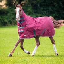 Shires Tempest Original 200g