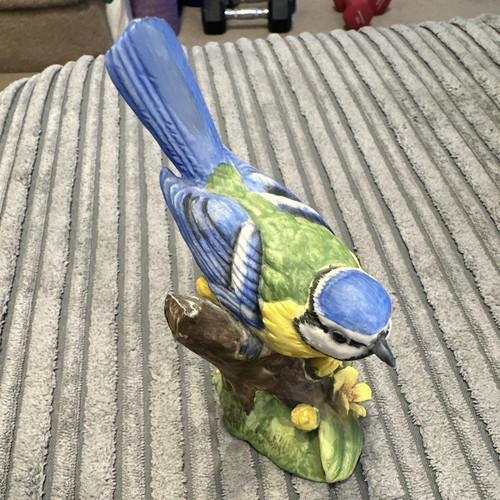 Beautiful birds collection - beautiful,
