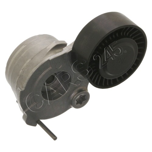 Febi ribbed belt tensioner - belt,