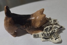 Miniature Terrier Feisty Dog