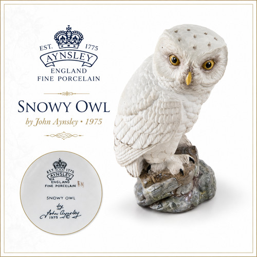Vintage aynsley snowy - vintage,