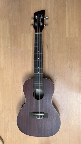 Brunswick bu4ce concert - brunswick,