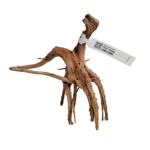 Wio tree trunk wood - tree,