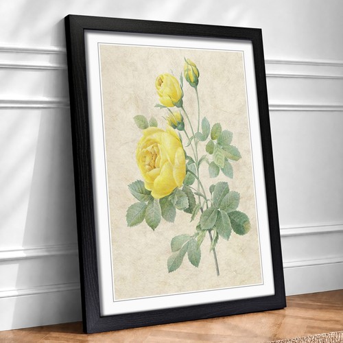 The yellow roses - the, flowers