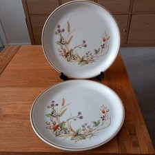 Pair Of  Vintage Marks & Spencer Harvest 1418 Stoneware Dinner Plates