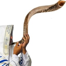 Shofar Kudu Horn Instrument M